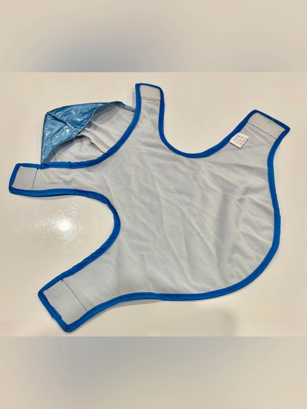 Light Metallic Blue Raincoat with Hoodie for Small Dogs